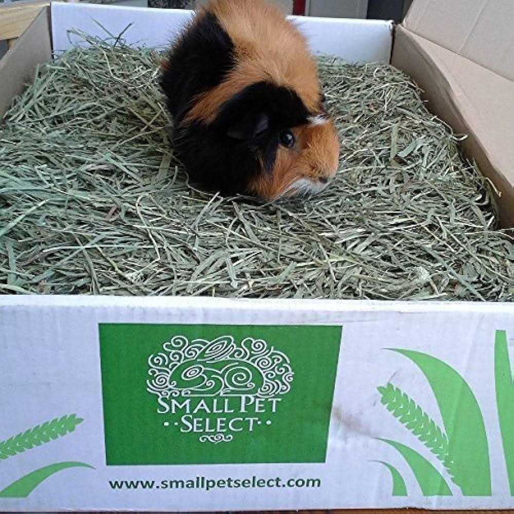 Timothy Hay Pet Food X749