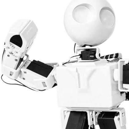 Humanoid Robot J8234