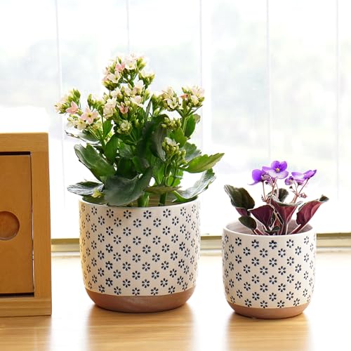 Set of 2 Ceramic Stoneware Plant Pots with Drainage Hole L390