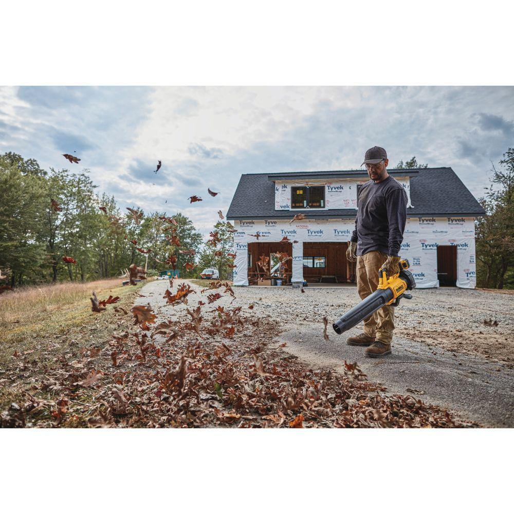 20V MAX Lithium-Ion Brushless Handheld Cordless Blower Kit P245990