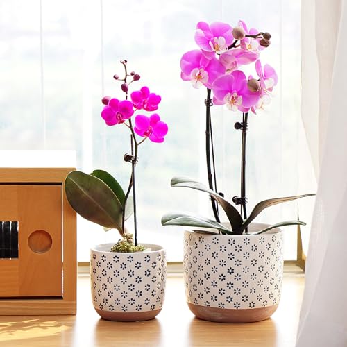 Set of 2 Ceramic Stoneware Plant Pots with Drainage Hole L390