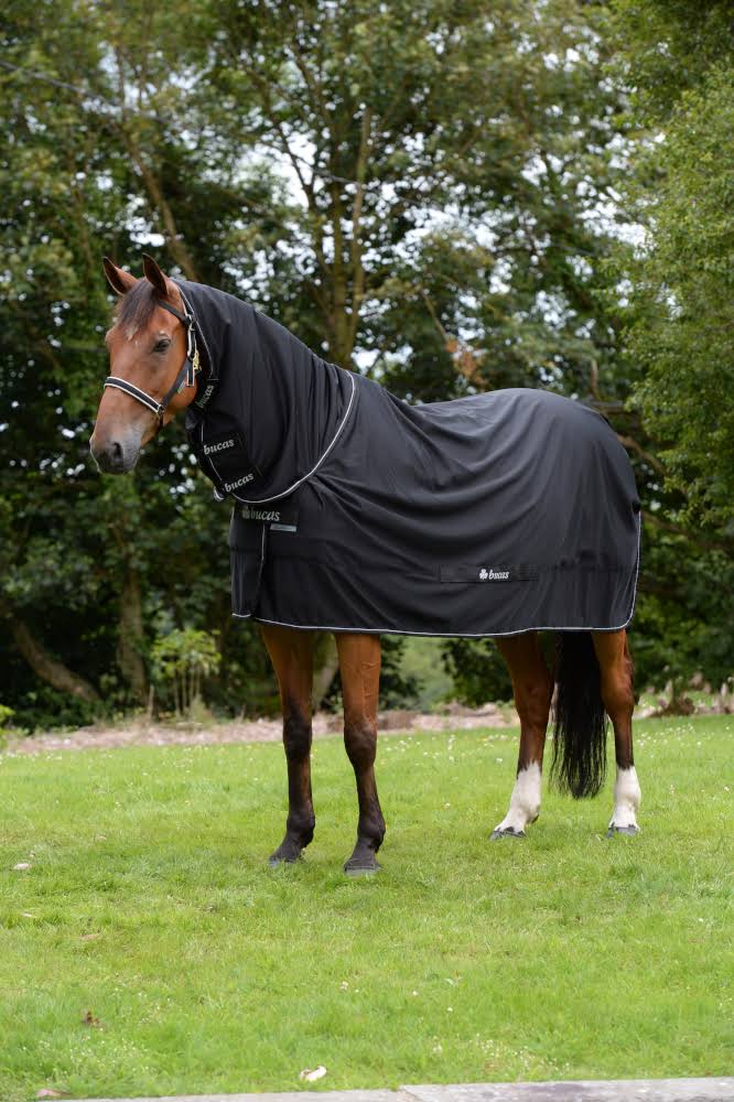 Navy Full Neck 168 Horse Rug I290