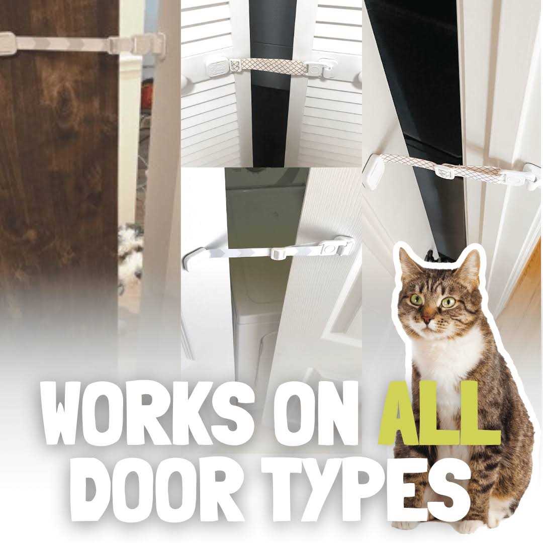Dog Latch Cat Door S1049