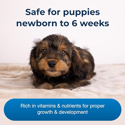 12 oz Pack of 2 Powdered Puppy Milk Replacer L561965