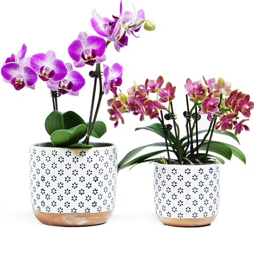 Set of 2 Ceramic Stoneware Plant Pots with Drainage Hole L390
