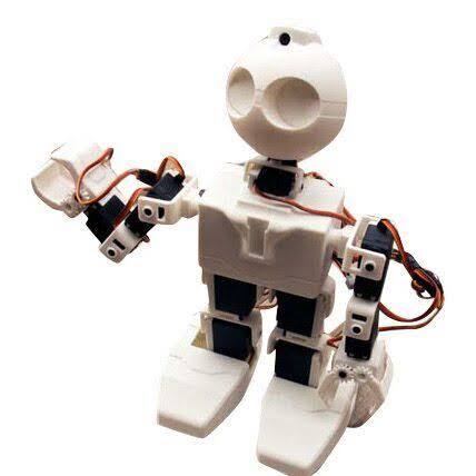 Humanoid Robot J8234