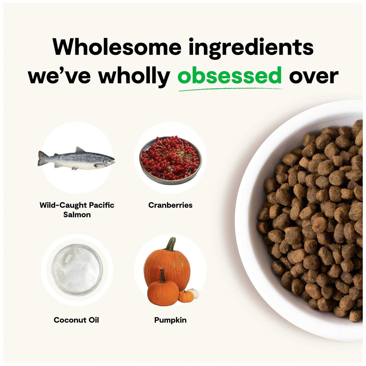 Grain-Free Wild-Caught Salmon Dry Dog Food O1897