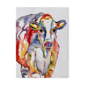 Colorful Cow Canvas Art D770
