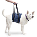 Dog Support Sling E62082