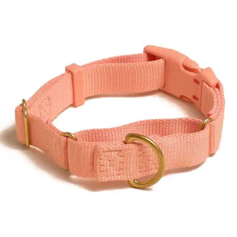 Martingale Dog Collar L30721