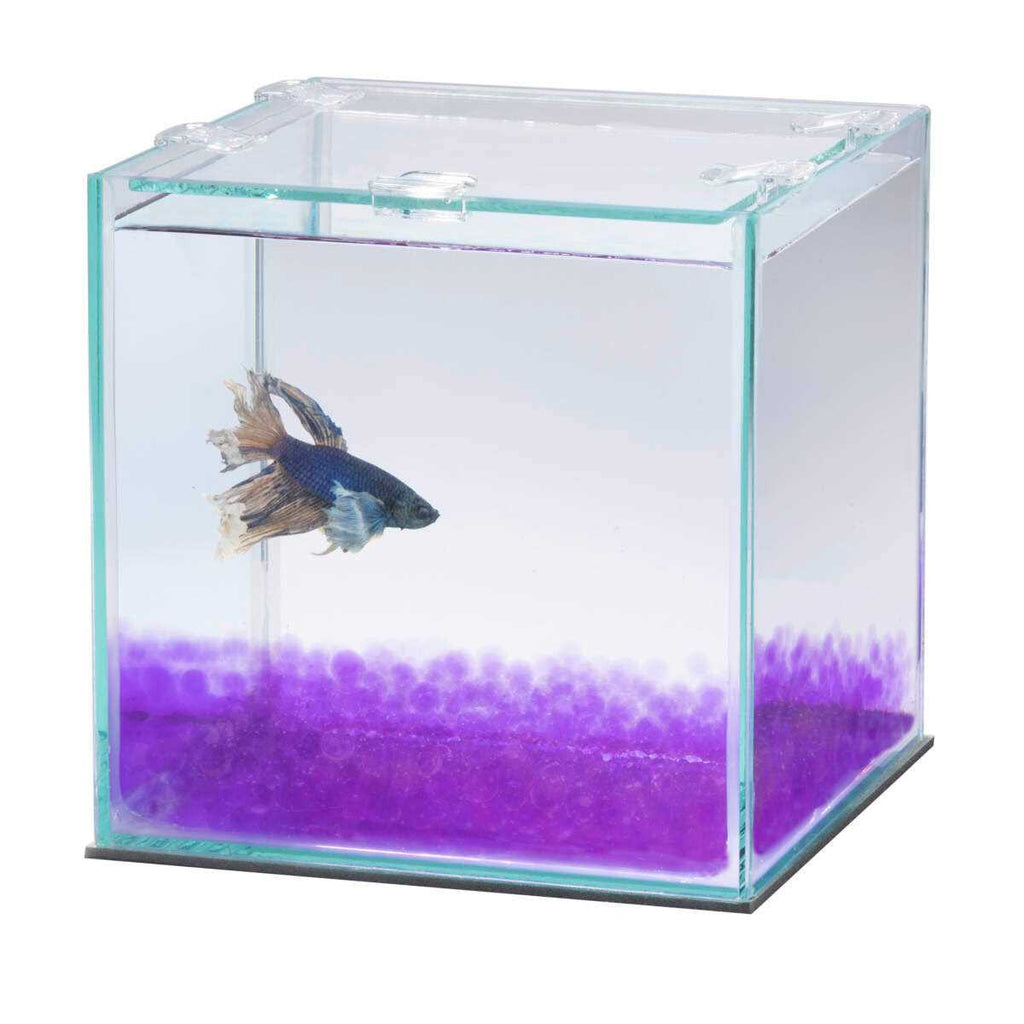Betta Beads U834
