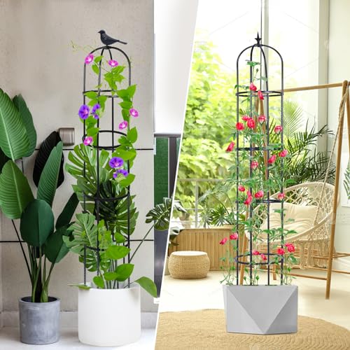 2 Pack 6ft Garden Obelisk Trellis for Climbing Plants B5679