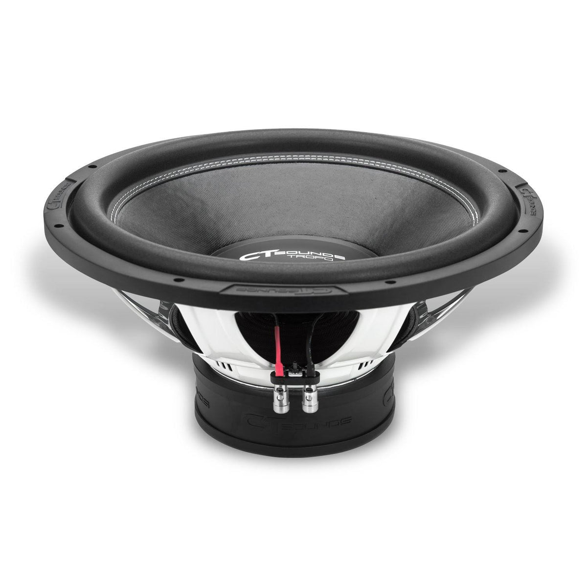 15 inch Car Subwoofer Dual 2 Ohm C84305