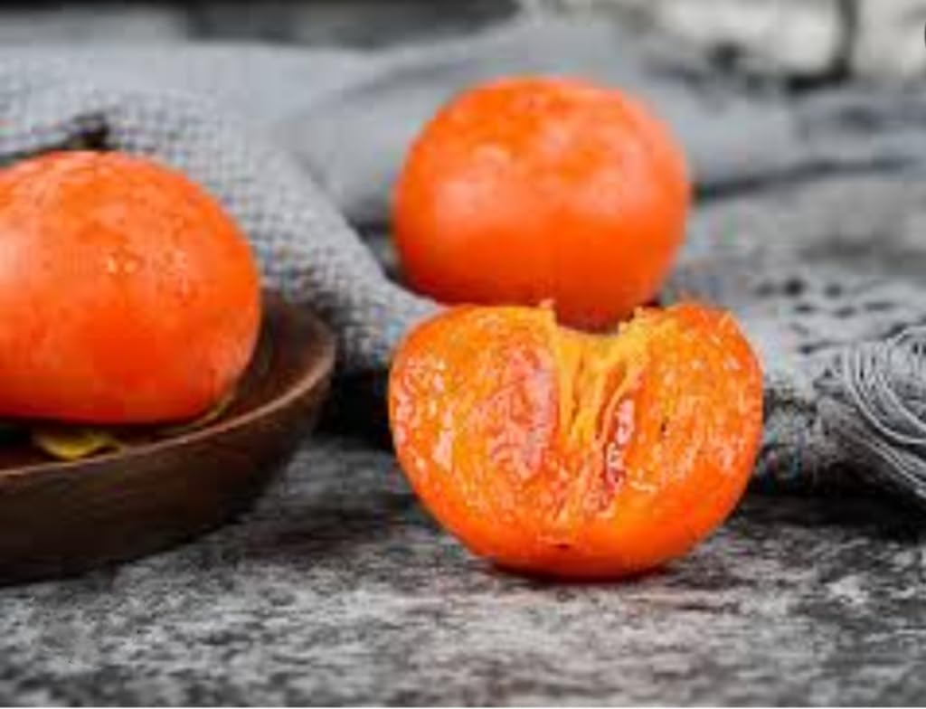 120 Seed Japanese Persimmon Seeds for Planting R424