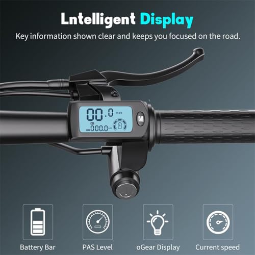 28 MPH 35 Miles Range 14'' Fat Tire Electric Scooter S9389