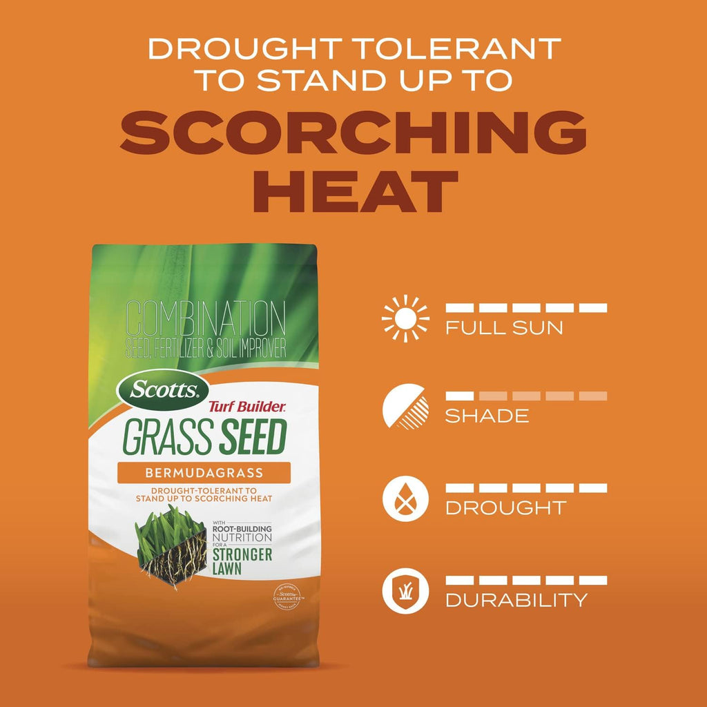 1 lb. Bermudagrass Grass Seed with Fertilizer T470643