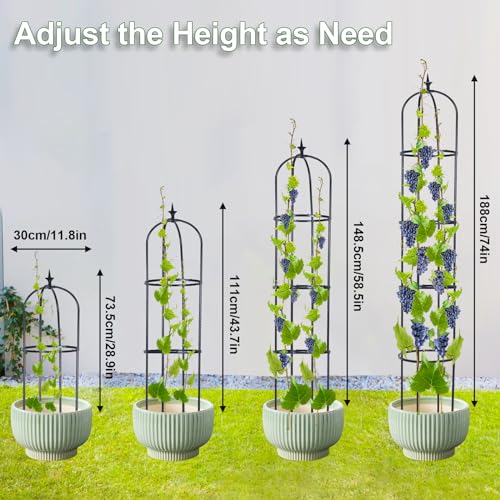 2 Pack 6ft Garden Obelisk Trellis for Climbing Plants B5679