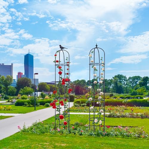 2 Pack 6ft Garden Obelisk Trellis for Climbing Plants B5679