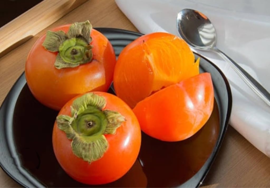 120 Seed Japanese Persimmon Seeds for Planting R424
