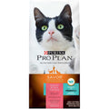 Salmon & Rice Formula Dry Cat Food F261032