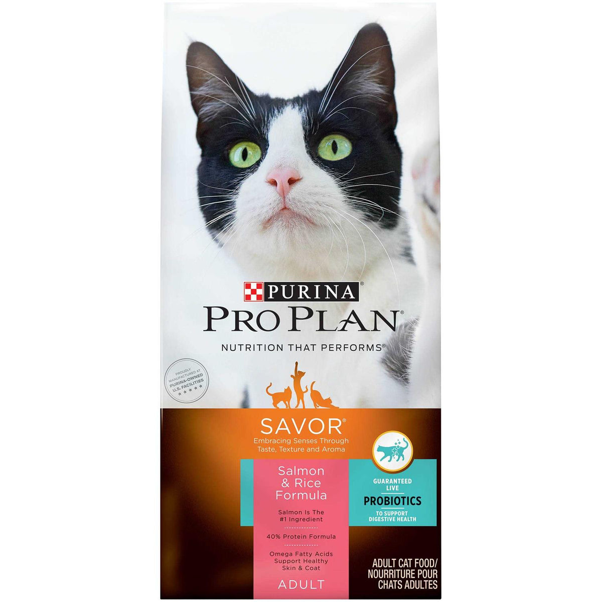 Salmon & Rice Formula Dry Cat Food F261032