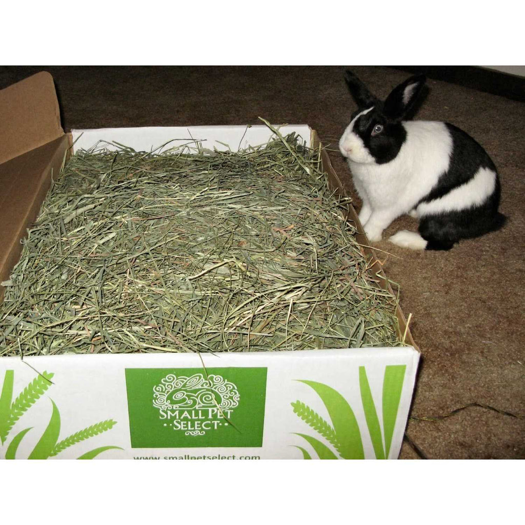 Timothy Hay Pet Food X749