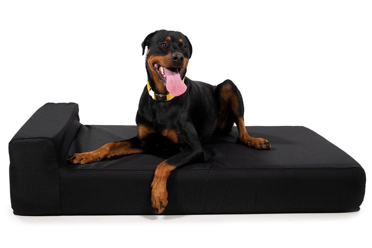 Black X-Large Orthopedic Dog Bed A749299
