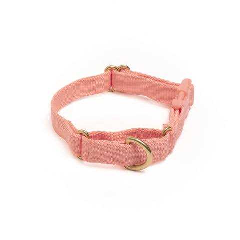 Martingale Dog Collar L30721