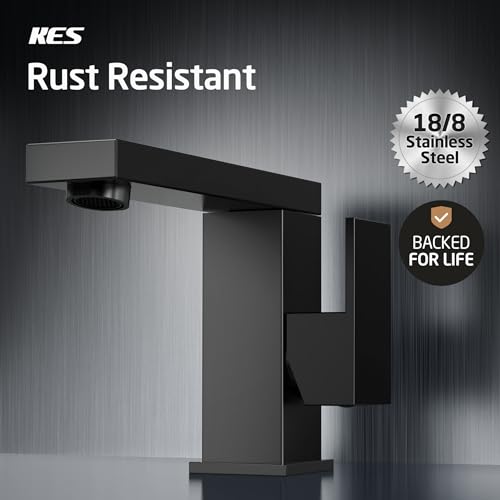 Matte Black Stainless Steel Swivel Bathroom Faucet L9403