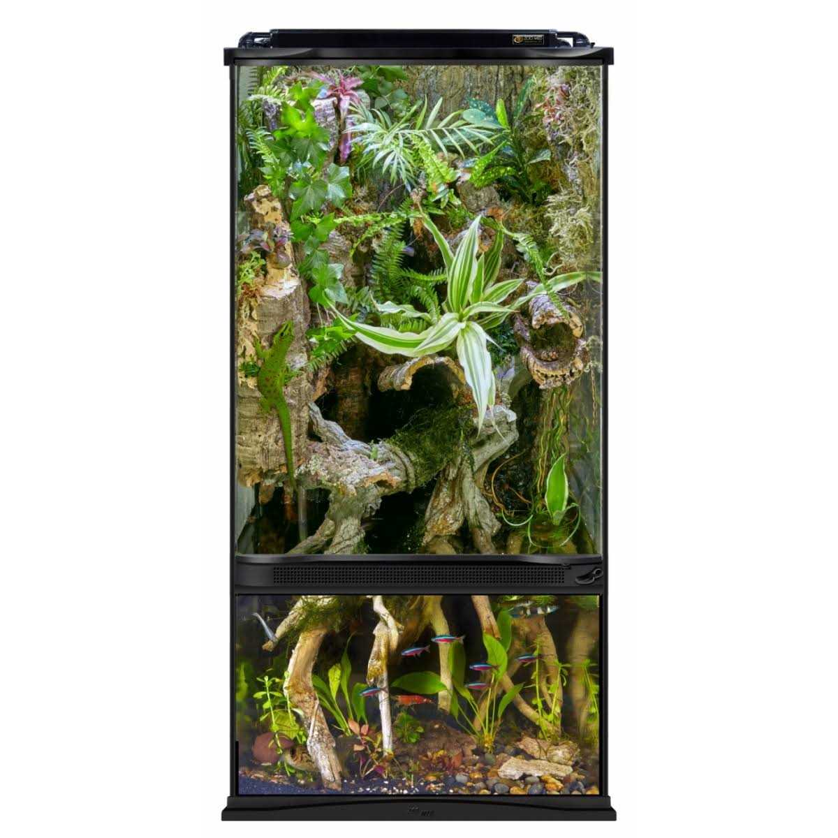 Paludarium Terrarium and Aquarium H358