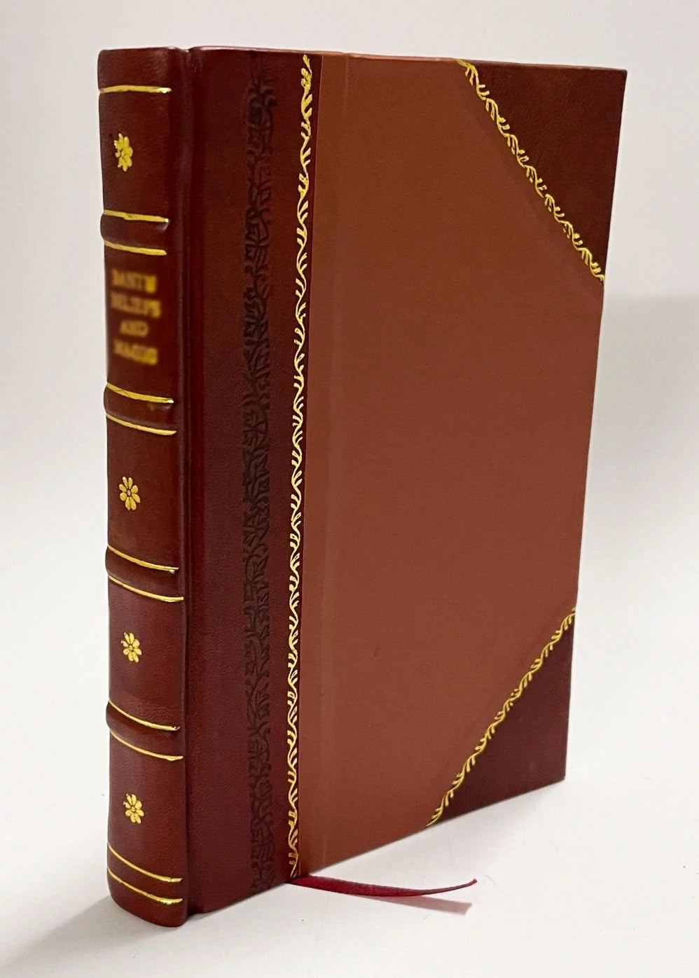 Sexual Health Leather Bound Q58039