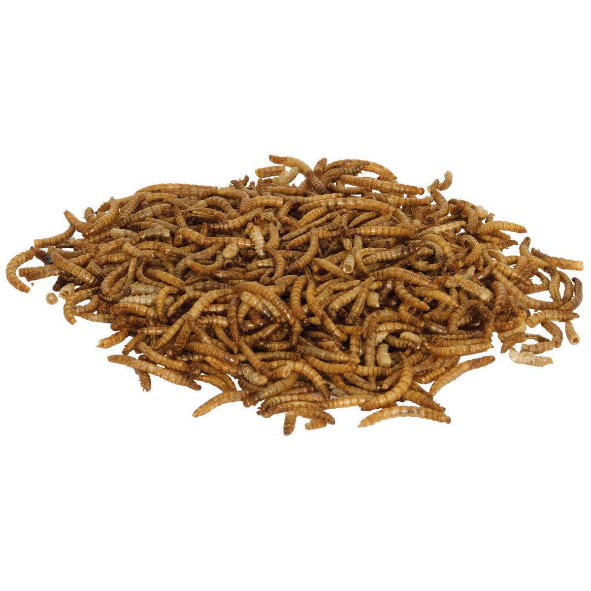 Mealworms Reptile E621063