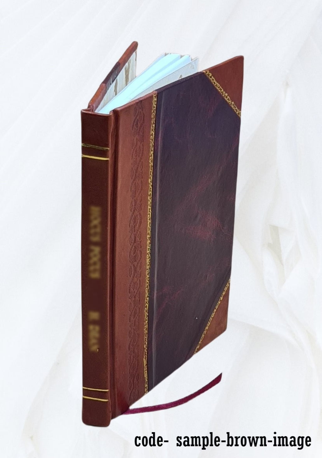 Le plan astral (2e édition revue et corrigée) par C. W. Leadbeater, traduit de l'anglais 1906, Leather Bound J853898