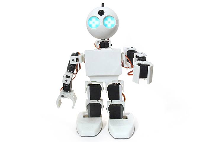 Humanoid Robot J8234