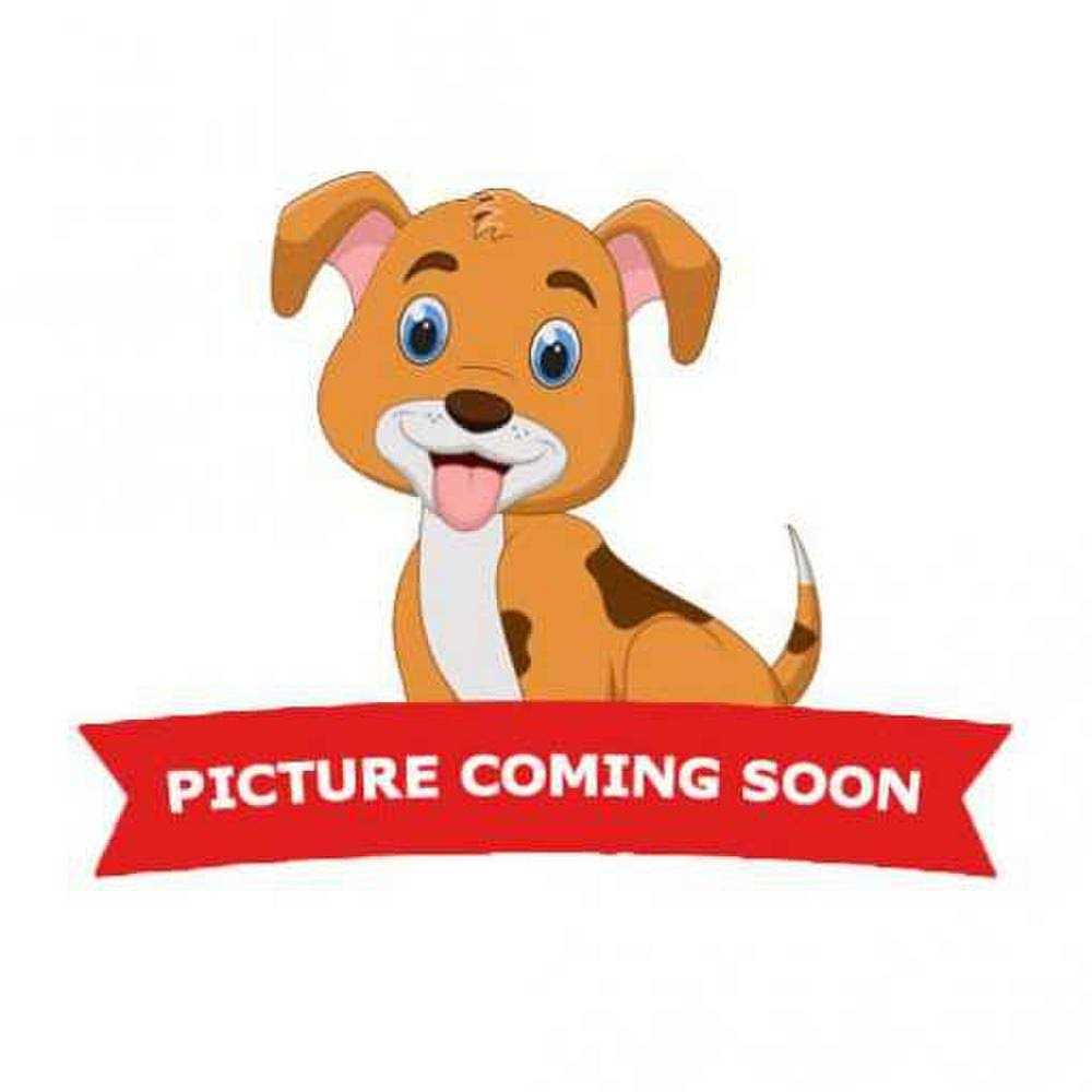 15ft XXL Dog Tie-Out N49571