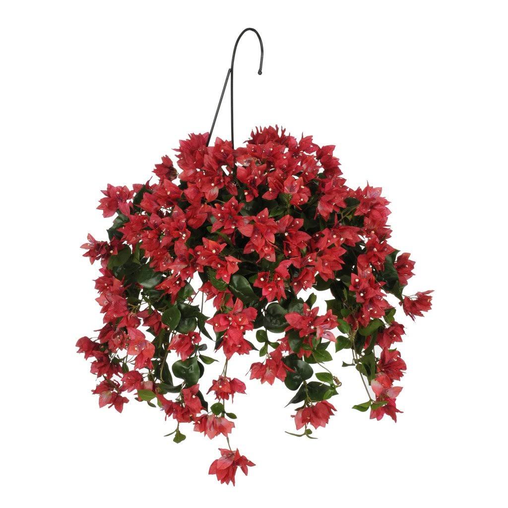 Red Bougainvillea Hanging Basket L4621