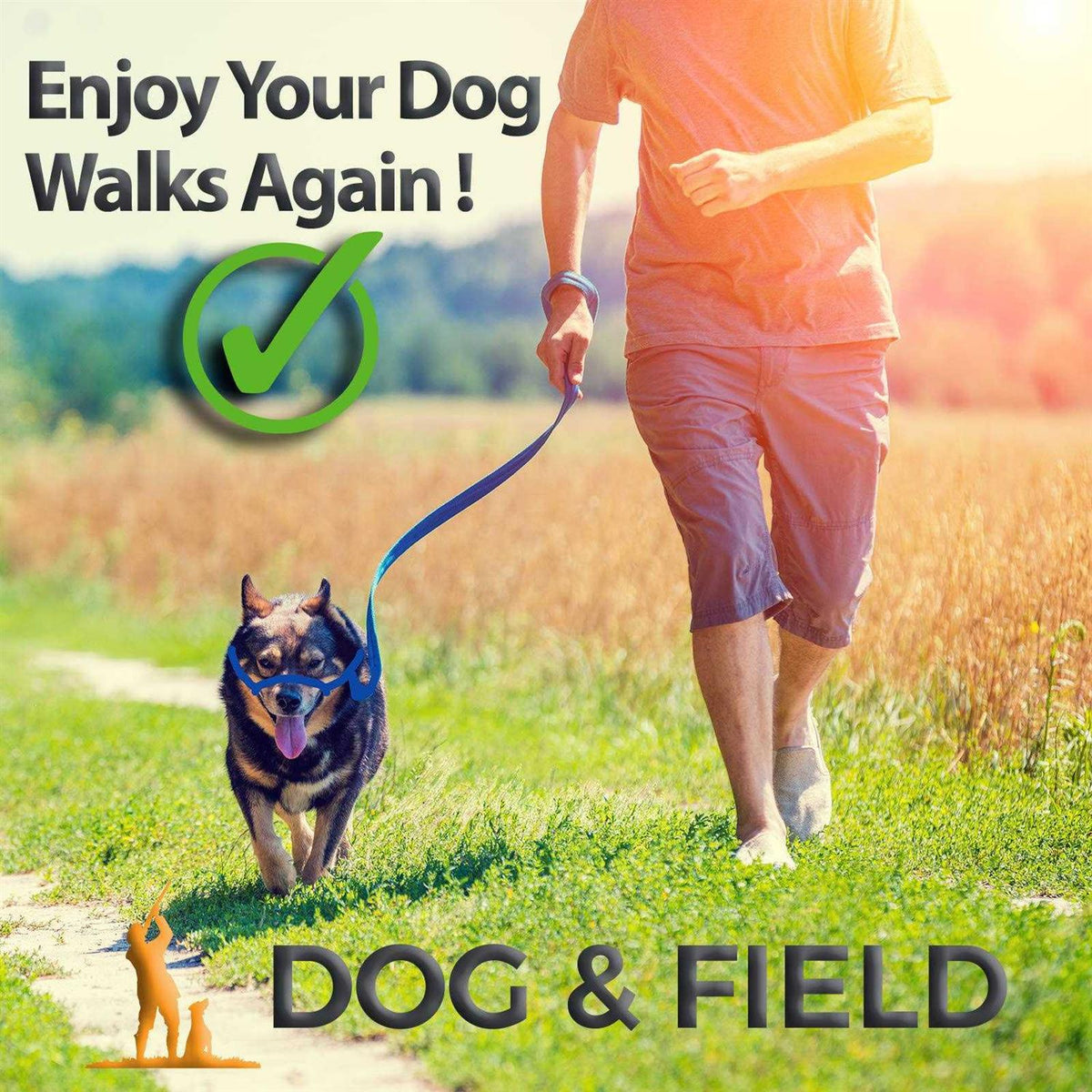 Anti Pull Dog Leash Halter Head Collar One Size Fits All U728851