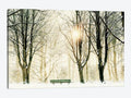 Canvas Wall Decor Prints K792276