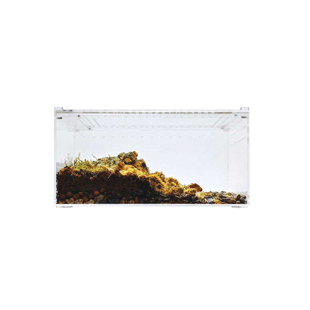 Acrylic Insect & Reptile Terrarium T1157