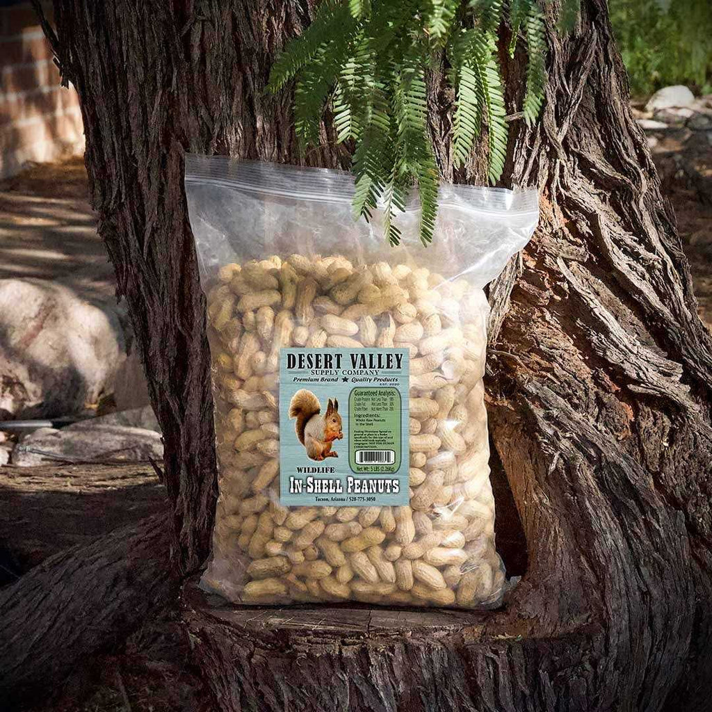 Peanuts in Shell U46434