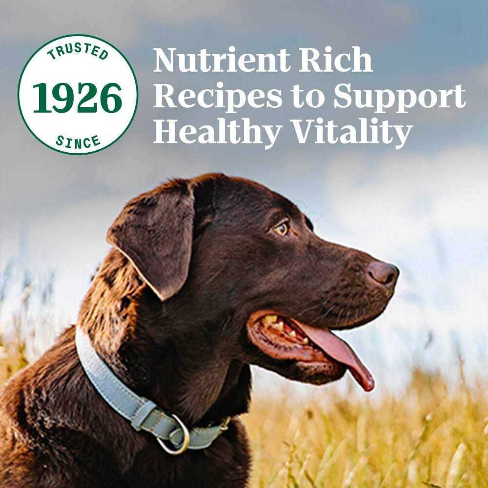 Adult Beef Rice Dry Dog Food J9466