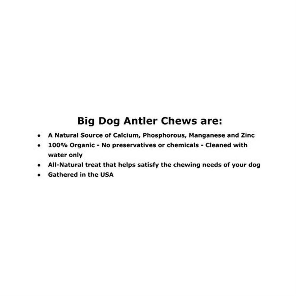 Whitetail Deer Antler Dog Chew Medium R672555