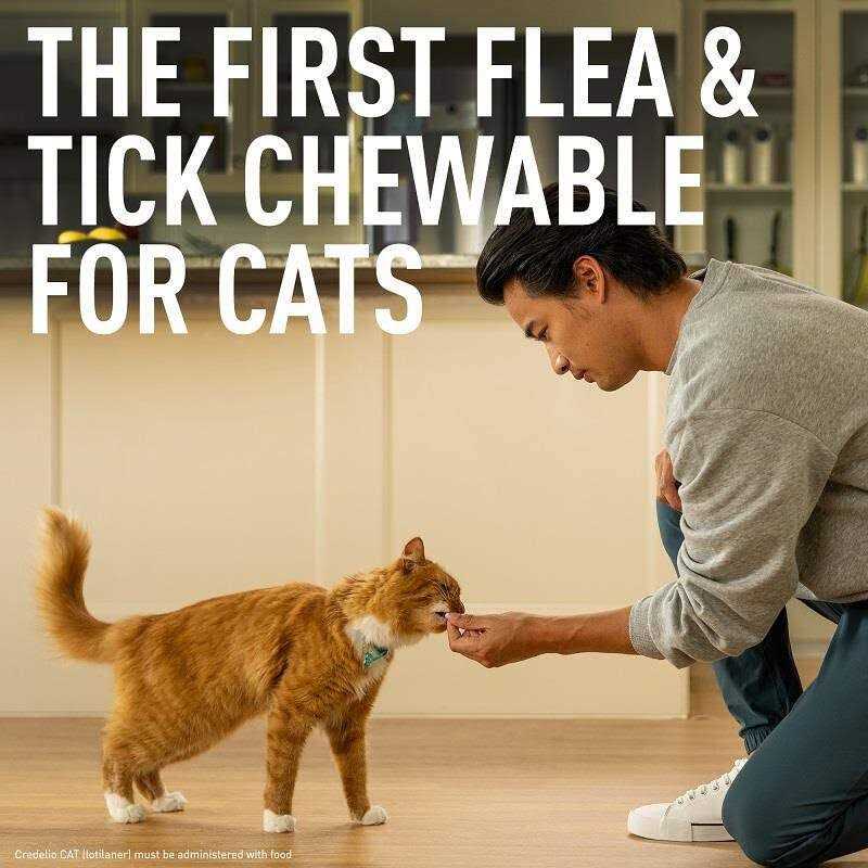 Credelio for Cats U7696
