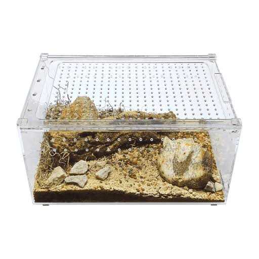 Acrylic Insect & Reptile Terrarium T1157