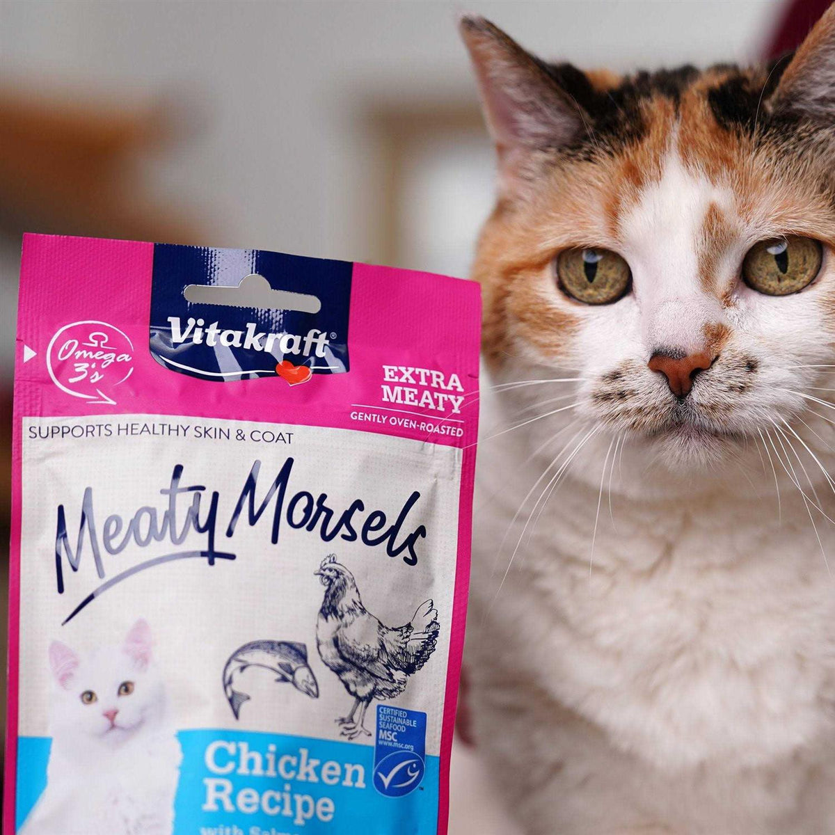 Chicken Salmon Cat Treat X2506