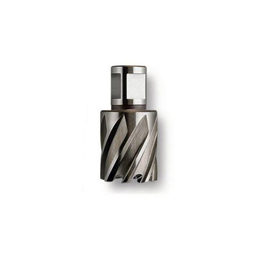 31mm x 2x22 HSS Annular Cutter with Weldon Shank L844
