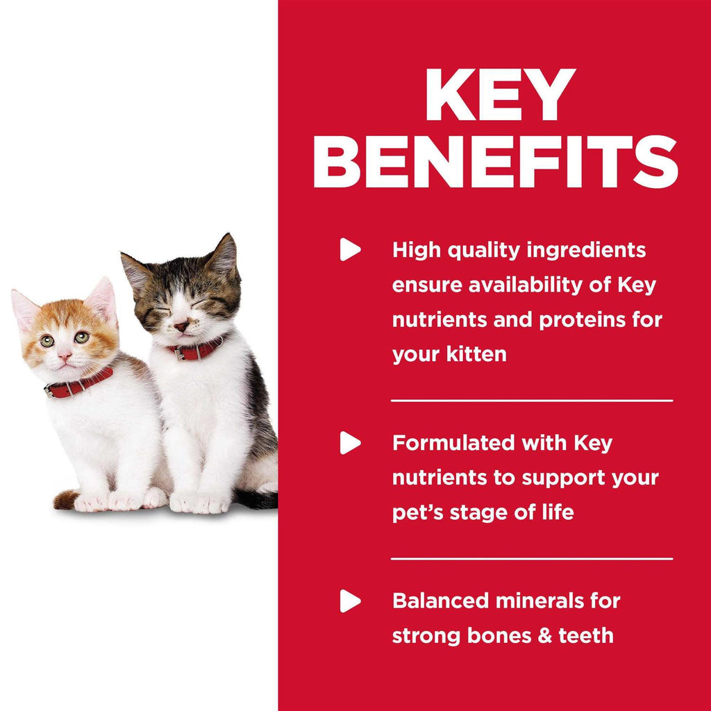 Wet Cat Food P6552