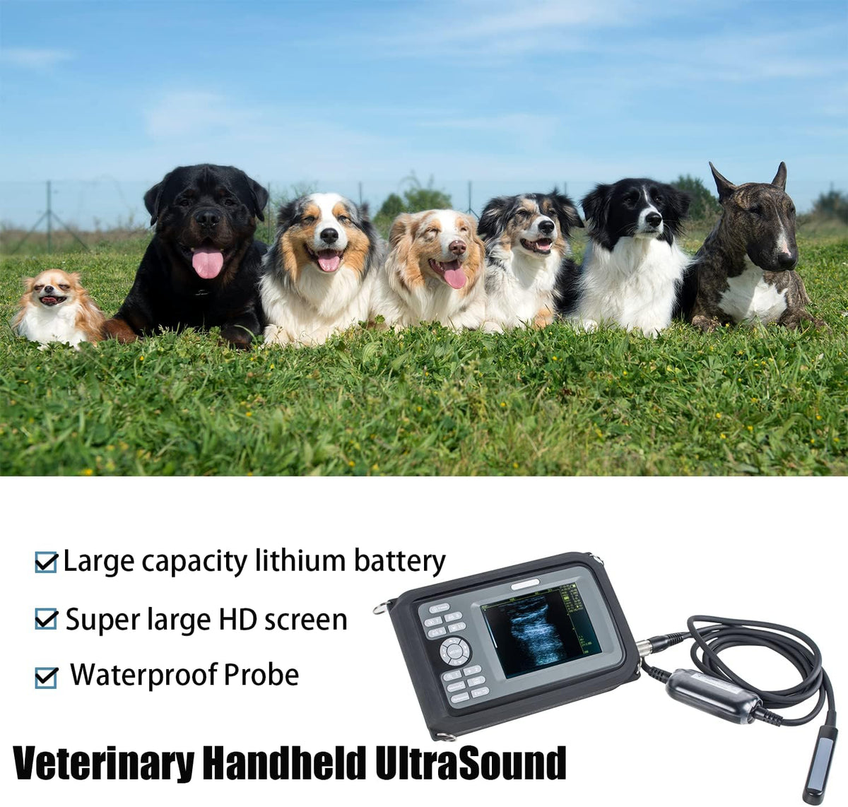 Veterinary Portable Ultrasound Scanner with 4.0MHz Rectal Convex Probe N59401