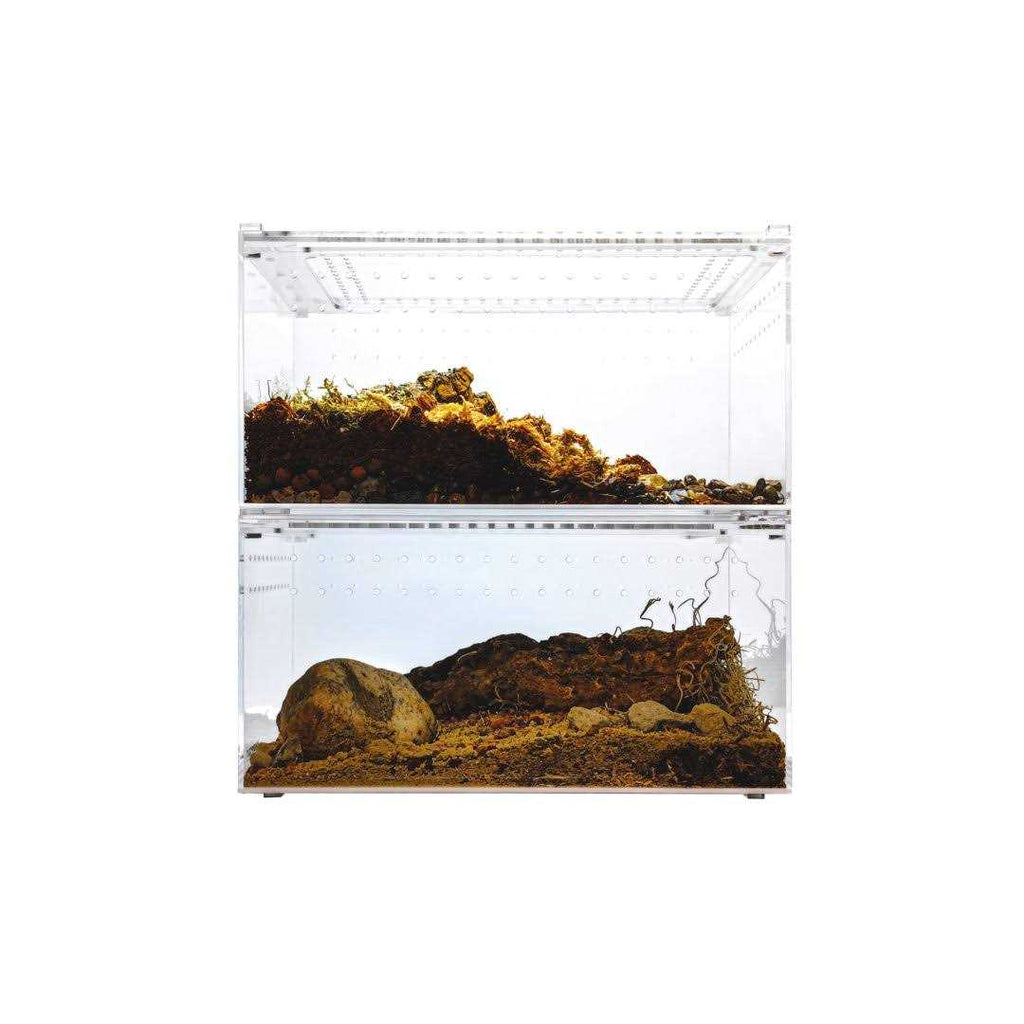Acrylic Insect & Reptile Terrarium T1157