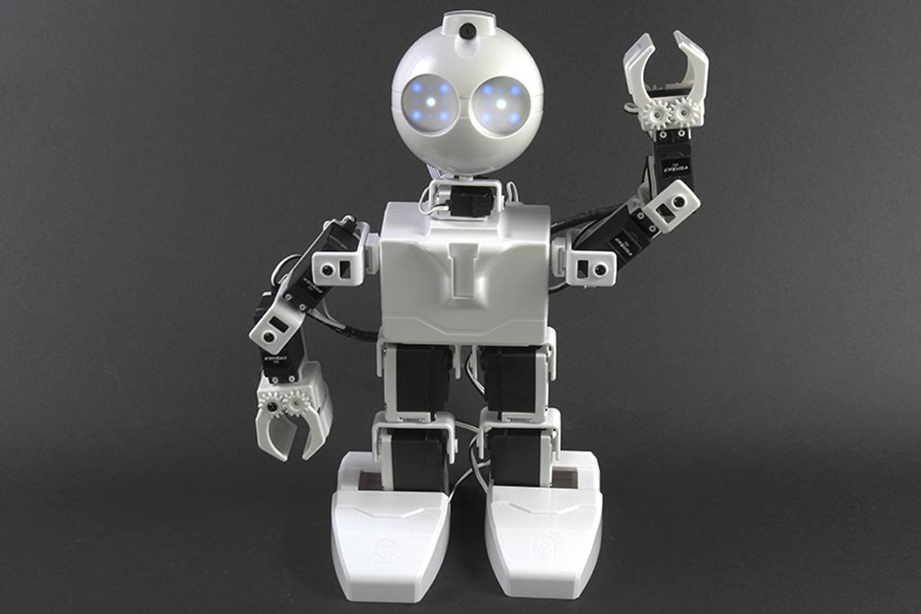 Humanoid Robot J8234